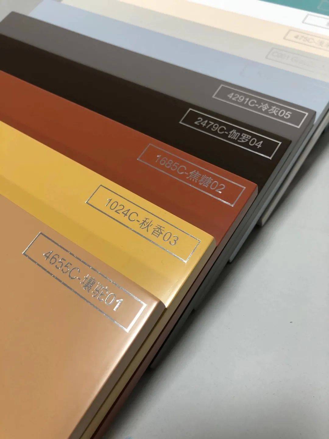 冬荫功2:拳霸天下(国语版)