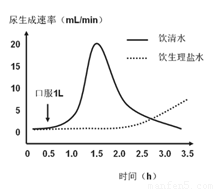 克雷斯的魔法学院