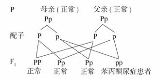 克雷斯的魔法学院
