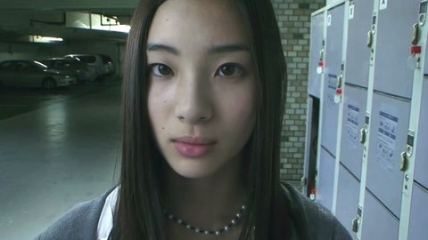 八月桂花遍地开