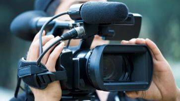 克莱拉与熊的秘密