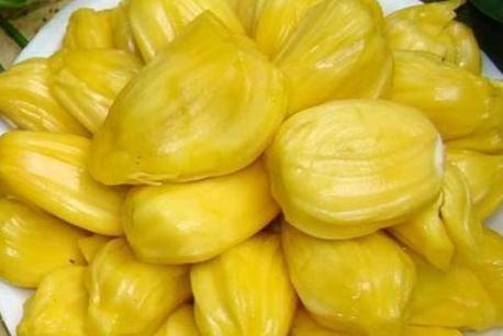 公众之敌（粤语版）