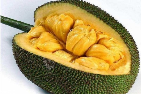 再见东京（国语版）